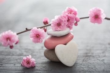 galets et fleurs de cerisier