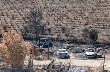 Incendie dans l'Aude la nature détruite