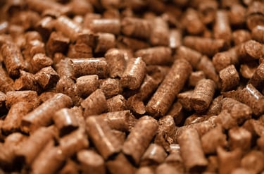 Nourriture pour wallaby de Bennett