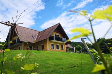Hauptgebäude vom Weingut Uhl mit Weingarten