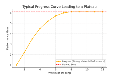 a typical workout program for a typical workout