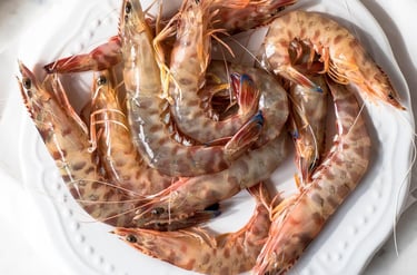 seafood food