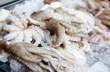 seafood