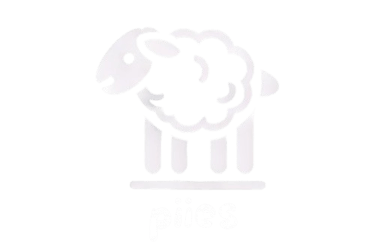 Logo von der Wollproduktmarke piies welche aus Tübingen kommt