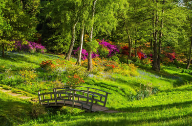 A small wooden garden bridge in a lush landscape with blooming azaleas and green trees.