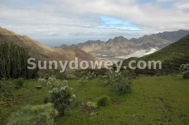 La Aldea desde el camino de Gu-Guy. Isla de Gran Canaria