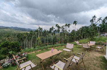 Hen Tae khao cafe, sawi Chumphon