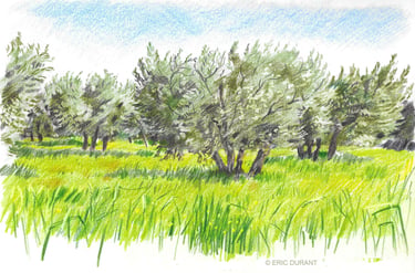 Dessin crayon de couleur sur papier - © Eric Durant
