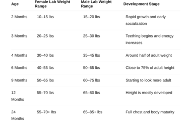 age and weight chart for labs