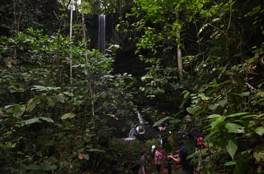 Hikers walking through a lush tropical rainforest toward a tall, thin waterfall cascading down a dark rock face.