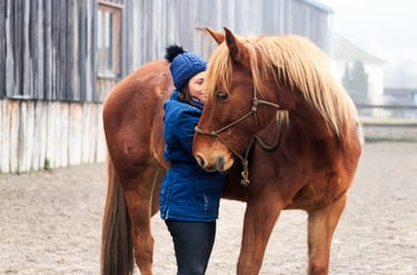 Ecoute attentive et bienveillante des besoins du cheval