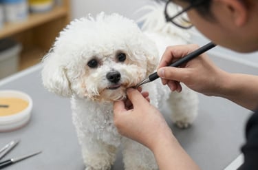 Persona tomando medidas de un perro para realizarle ropa a su medida