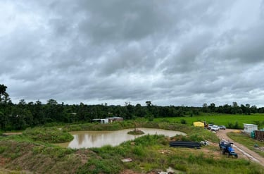 bio-pond on site