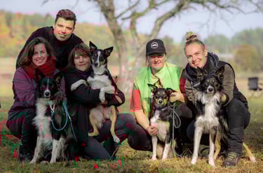 Border Collie breeder | Herding instructor | Dog training | Herding judge