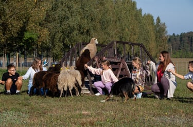 kalėdinės programos vaikams ūkyje