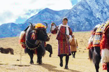 layap_the_people_of_laya_pulling_off_his_packed_animal_yak_during_laya-royal-highland-festival