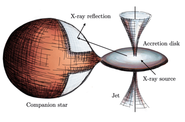 Sketch of X-ray reflection from the surface of the companion star in accreting X-ray binaries