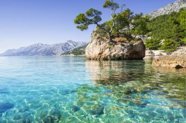 The Brela Stone on Punta Rata beach with clear turquoise water and pine trees in Croatia.