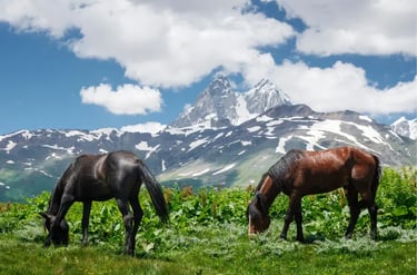 Two wild horses grazing in a green meadow with snow-capped mountain peaks and blue sky.
