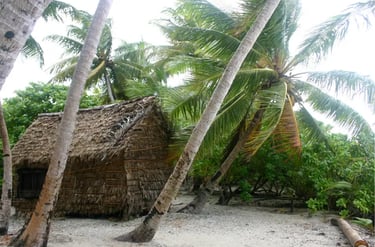 Traditional thatched beach hut nestled among tropical palm trees on a white sand island shore.