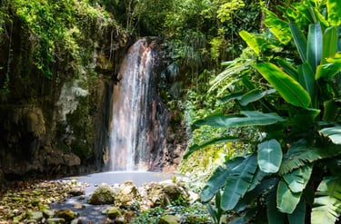 Tropical waterfall cascading into a rocky pool surrounded by lush green jungle foliage and banana leaves.