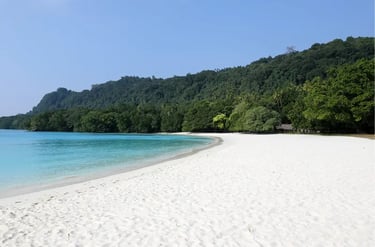 Pristine white sand beach at Champagne Bay with turquoise water and lush tropical jungle in Vanuatu.