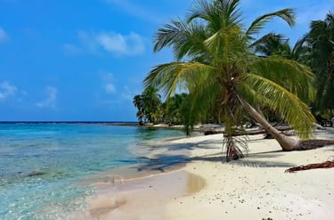Tropical white sand beach with leaning palm trees and clear turquoise ocean water under a blue sky.