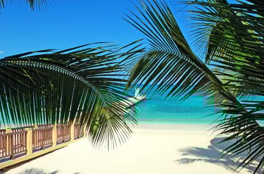 Tropical white sand beach with turquoise water and palm tree leaves framing a wooden pier.