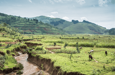 Paisaje rural en Burundi