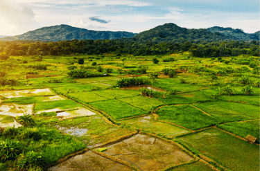 Paisaje rural en Malaui