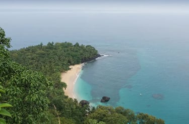 Aerial view of a secluded tropical beach with turquoise water and lush green jungle palm trees.