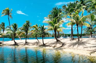 Tropical beach landscape with palm trees on white sand by turquoise water under a clear blue sky.