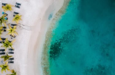 Aerial view of a tropical white sand beach with palm trees and turquoise ocean water.