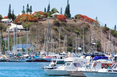 Sailboats and motorboats moored in a tropical harbor with red flowering trees and coastal homes.