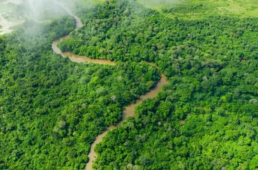 Aerial view of a winding brown river flowing through a lush green tropical rainforest canopy.