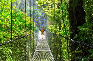 A hiker walks across a long metal suspension bridge through a lush tropical rainforest canopy.