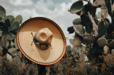 Sombrero mexicano en cactus