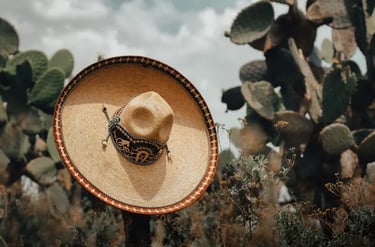 Traditional Mexican straw sombrero resting on a cactus in a desert landscape with prickly pear plants.
