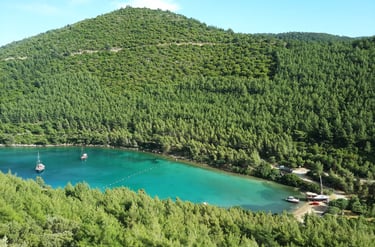 Gölköy personel servisi