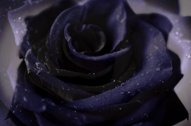 closing ritual offering to black moon lilith