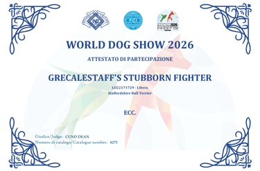 Attestato Eccellente WDS 2026 per Grecalestaffs Stubborn Fighter Jin con giudice Dean
