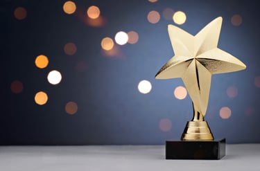 Integrix Culture – recognition and rewards in a professional environment
