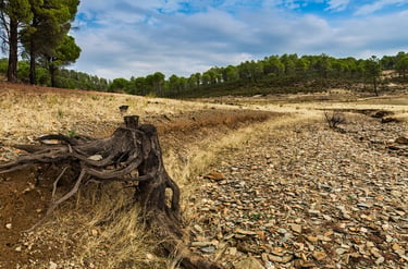 passivo ambiental área degradada regularização ambiental