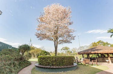 uso de água em empreendimentos com área verde