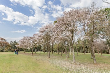 gestão ambiental em áreas verdes empreendimento imobiliário