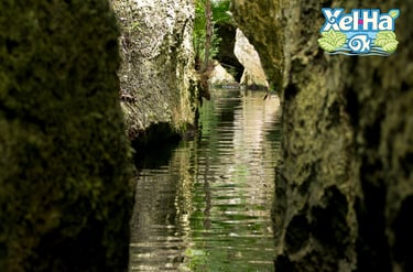 mexico riviera maya xel-ha