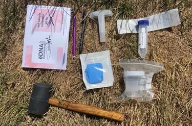 Professional soil eDNA sample collection kit with mallet and testing supplies on dry grass.