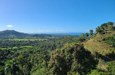 Tendances mondiales des éco-résidences de luxe : Casablanca Ecolodge redéfinit la norme