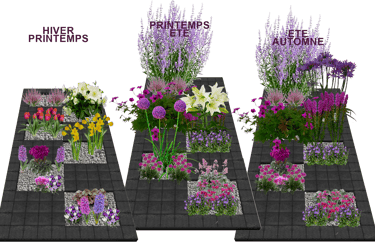 Tombes végétalisées