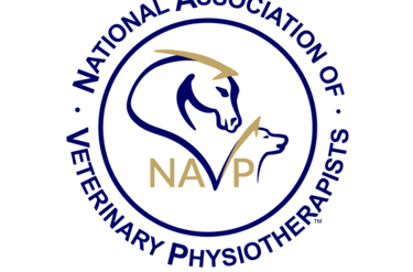 NAVP